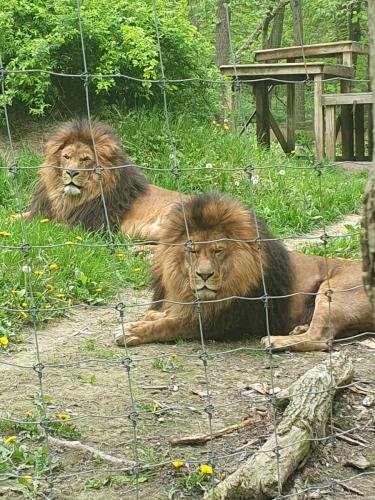 Výlet s ministranty, 11.5.2024